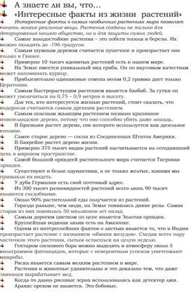 интересные факты из жизни турчанок